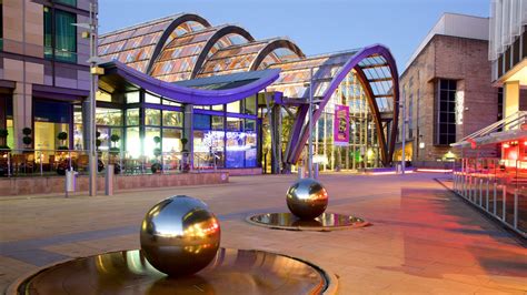 winter gardens sheffield city centre